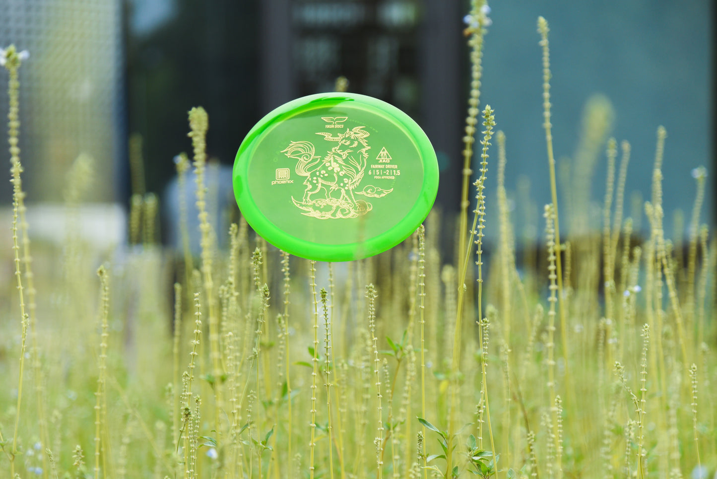 Yikun driver green phoenix Jiao in a field